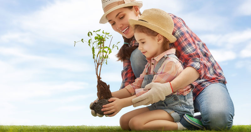 9 pequeñas acciones para cuidar el medio ambiente - OSDE